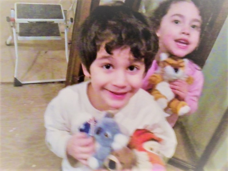 storm photo tigers (2)